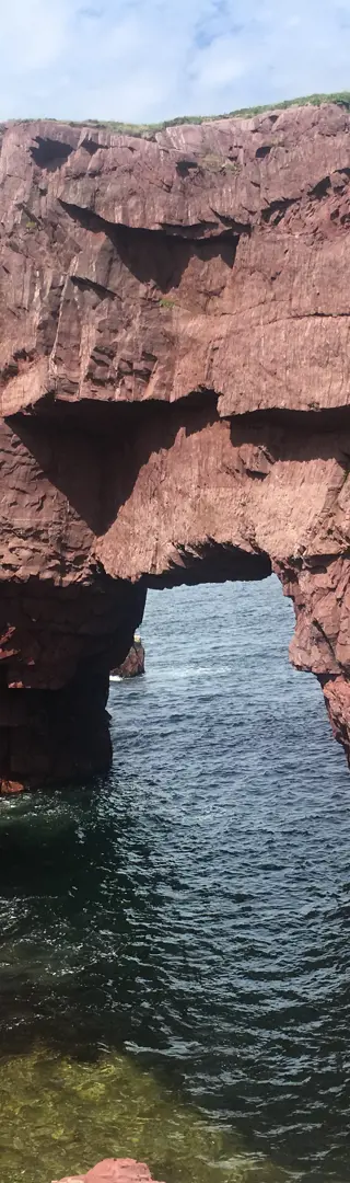 Tickle Cove